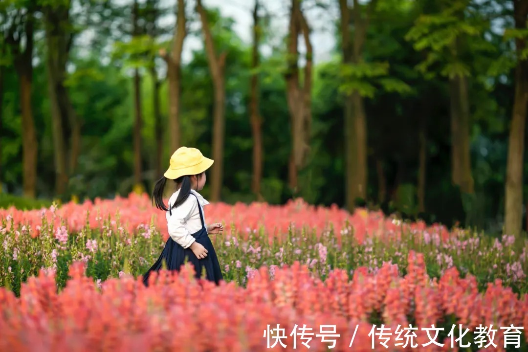 精华|好孩子都来自什么家庭？这10句精华，请父母牢记