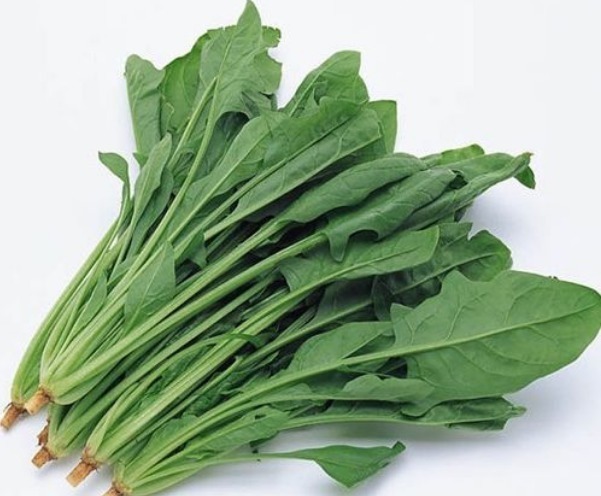 食物|常吃7种食物减少脱发、促进头发生长,为了健康不妨了解一下