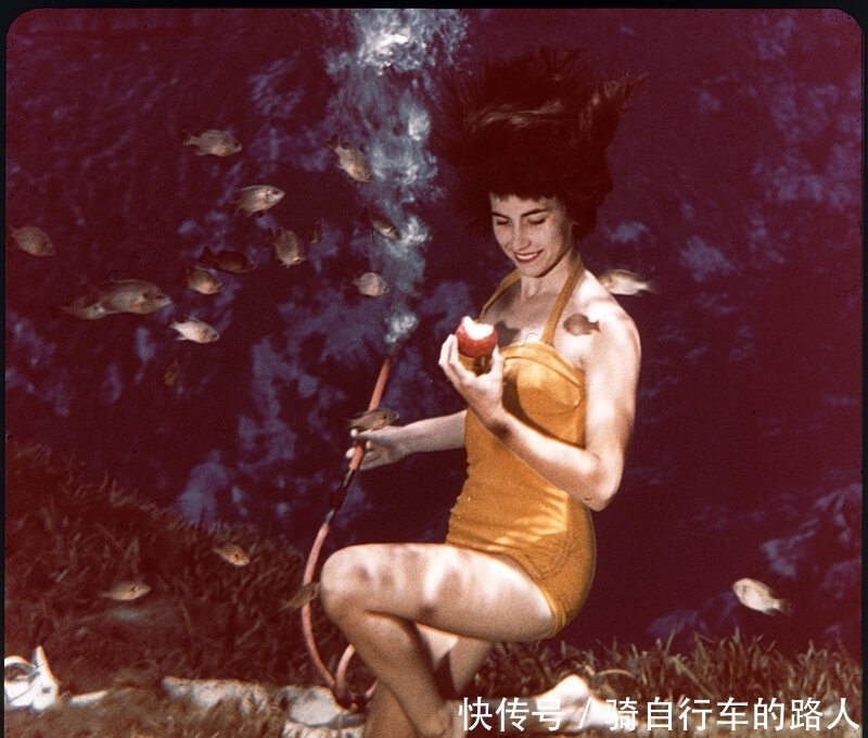 美丽|老照片 1959年美国水下舞蹈表演 美丽的美人鱼