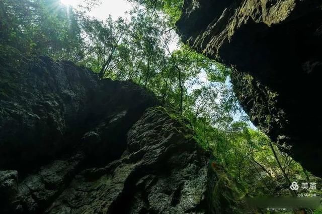 岩壁|探秘鬼斧神工的汉中“大屋基”地缝峡谷，秦巴深处的地质奇观