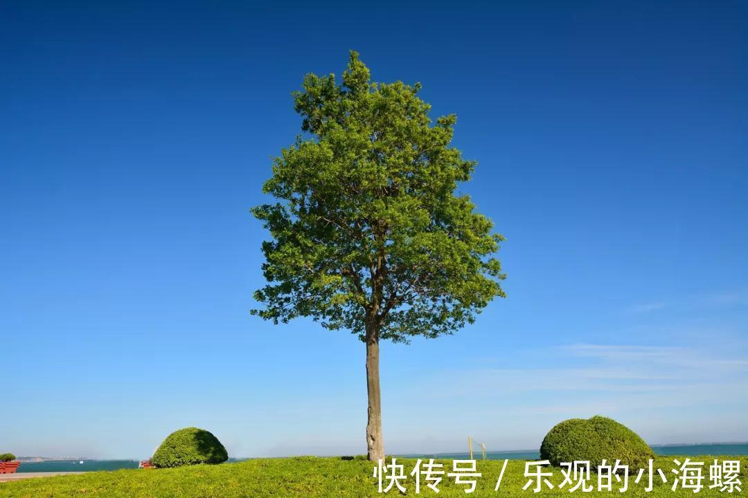 翔海地产|翔海地产：初秋，想和你一起看大海！