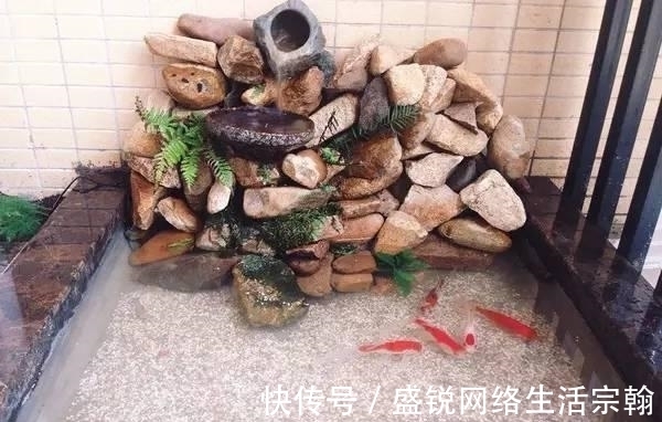 防水|老公在阳台做了个鱼池, 发到业主群里, 楼下直接找上门了!