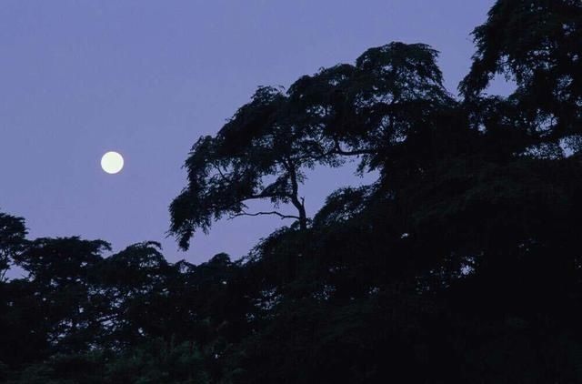 清晨3要,晚上4不要,这个必须知道