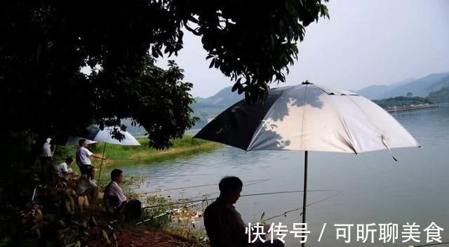 渔获|钓鱼打窝时，注意这3点，熟记5须知，钓好鱼不难
