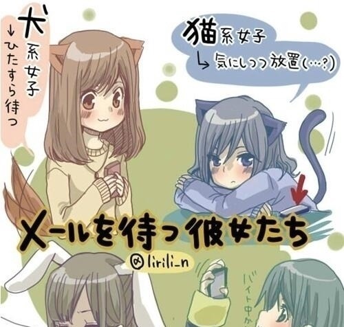 犬系|猫系女子VS犬系女子,你更喜哪一种?动漫猫系受欢迎,现实却相反