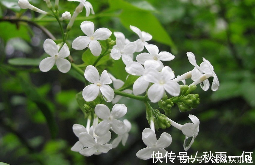 气质|年龄越大,气质越好的3个生肖女,越老越有贵气,福气享受不尽