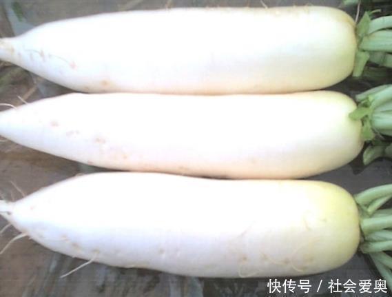 蒲公英|不想痛风来烦你，吃6种以上的碱性食物，尿酸会一天比一天低