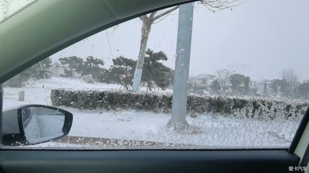 竹林听雪