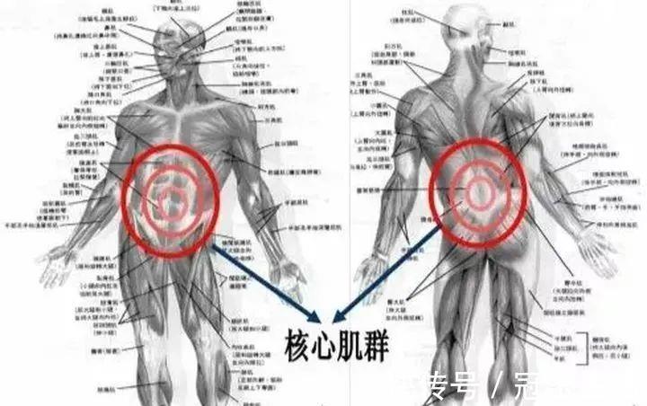 健身|健身如何训练核心?这几个动作,助你一臂之力