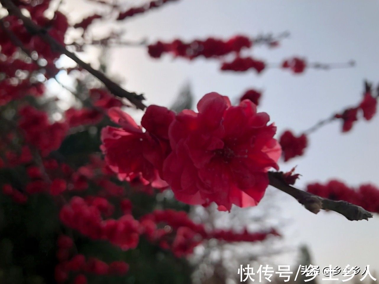 下雨|“八月十六一场雨，有家之女不向西”，八月十六下雨，有啥预兆？