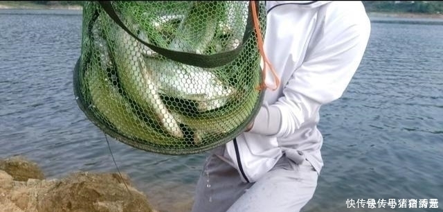 玉米|钓翘嘴知道这些,会让你收获满满,钓的非常过瘾