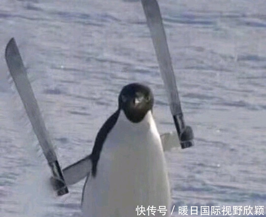 创造营2021最终出道位,你想到了吗?有你pick的吗?