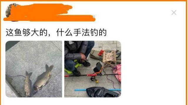 天津河道边,有人用“高科技”频频钓大鱼,当街售卖150一条