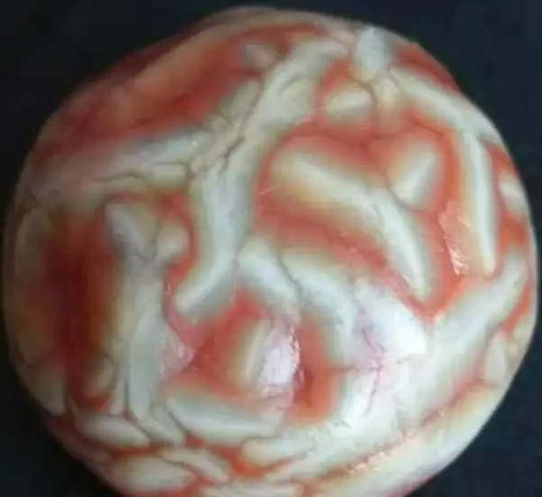 小石头|这种看起来肉肉的小石头异常珍贵,一颗就有可能换回一辆小轿车