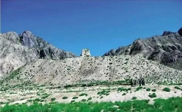 热水墓群|“九层妖塔”原型古墓惊现:1000余件文物,500余件金银玉器,87匹汗血宝马