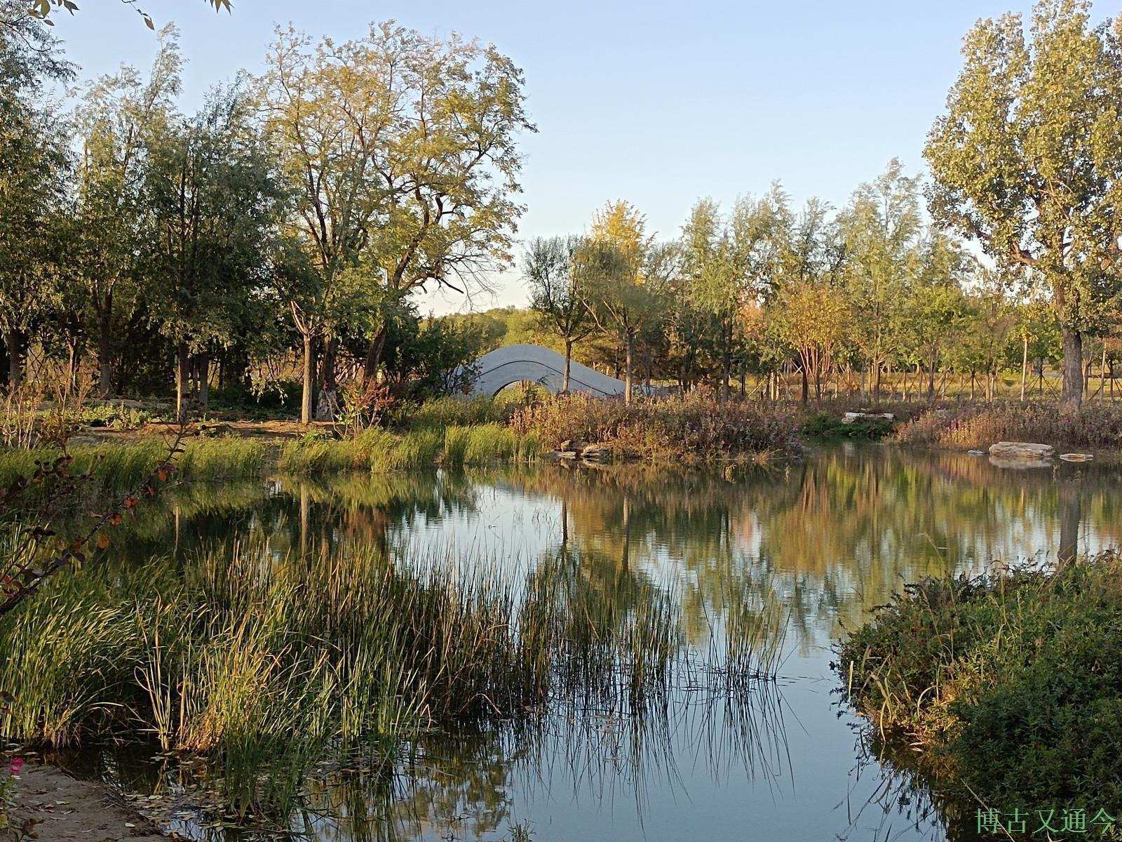 老年|温榆河公园示范区东园,园内的金色光芒撒在大地上