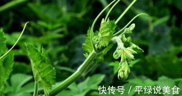 自由基|女性想要皮肤好,常吃的食物,美白肌肤,延缓衰老,增强体质