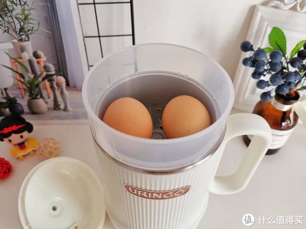 no，no|七彩叮当迷你养生壶，一壶暖时光，开启“轻”生活