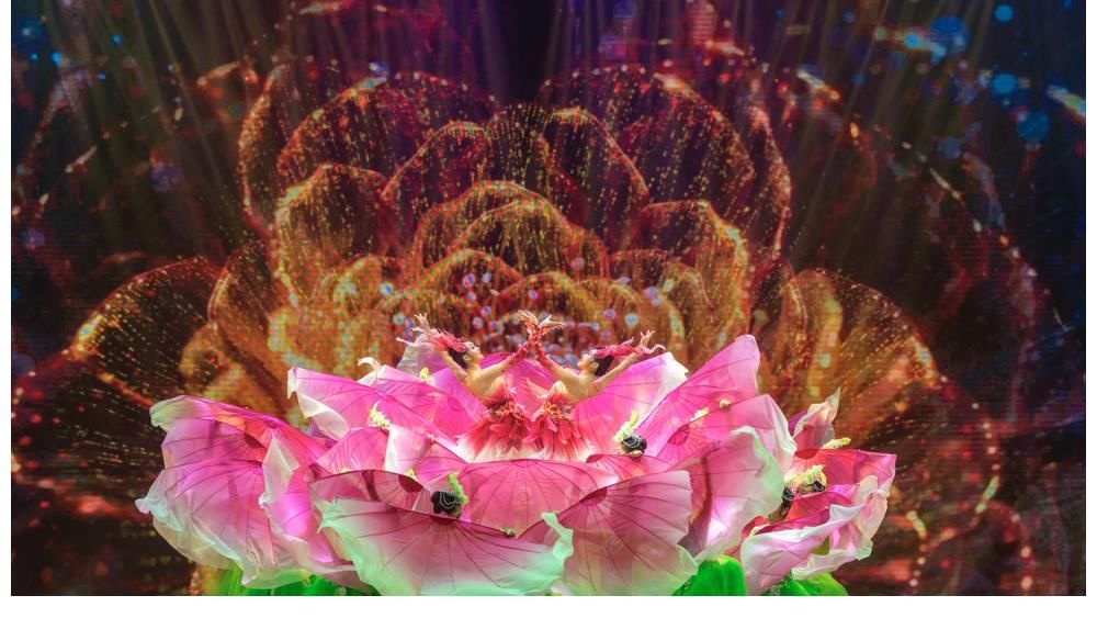 9朵“梅花”同台,8位巴蜀笑星重聚……首届川渝春晚精彩看点来了!