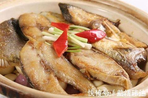 dh被誉为最好吃的海鱼,鱼肉似“千层糕”,我国独有,却少有人知