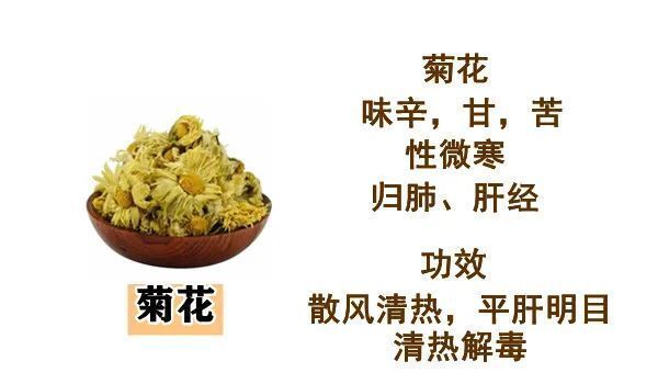 寒则热之热则寒,中和用药解胃炎|大白话说中医第一百五十四期| 寒症