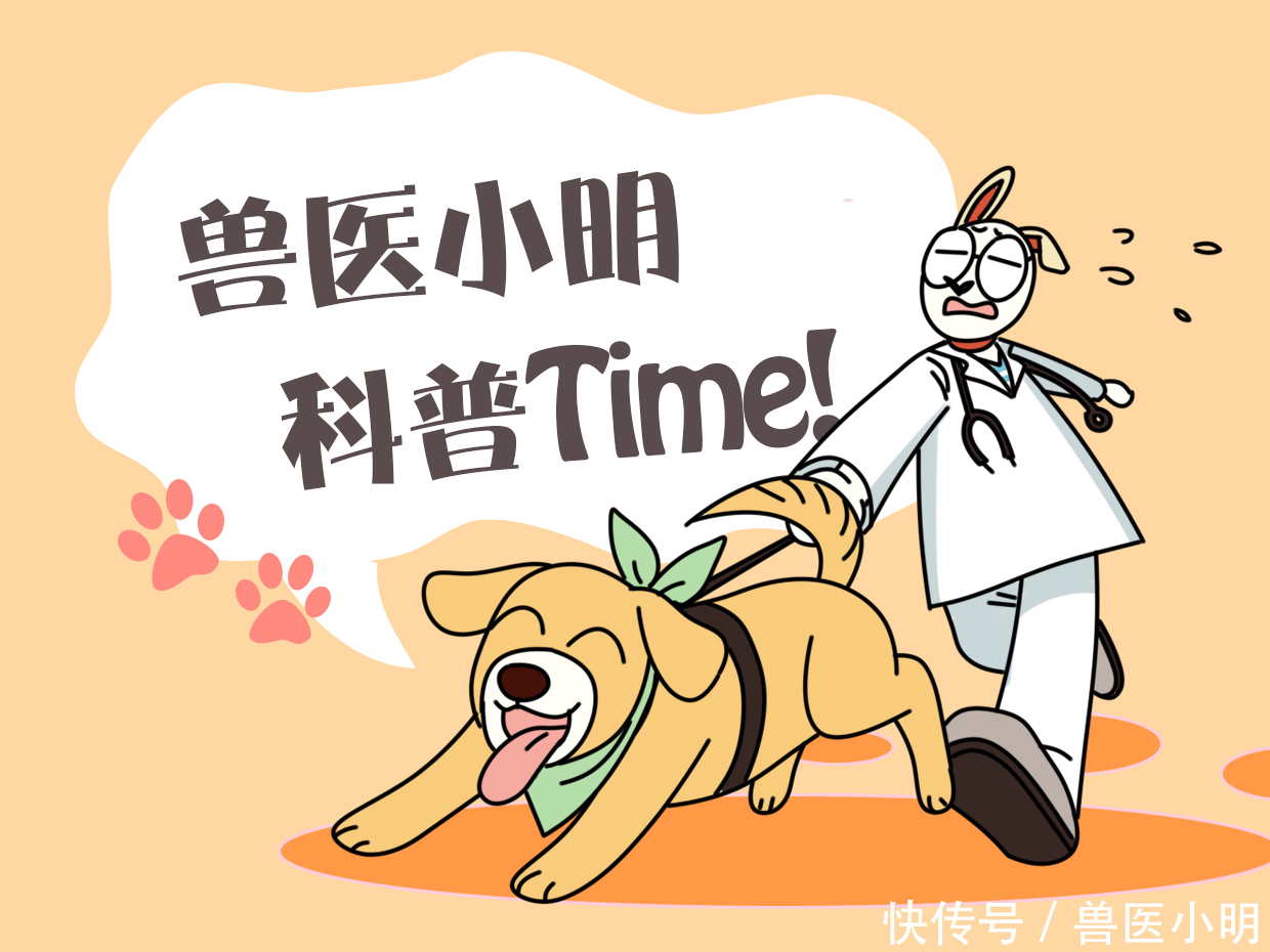 大爷钓的鱼中有一条很特别，看清腹部后放生了这可不能吃呀