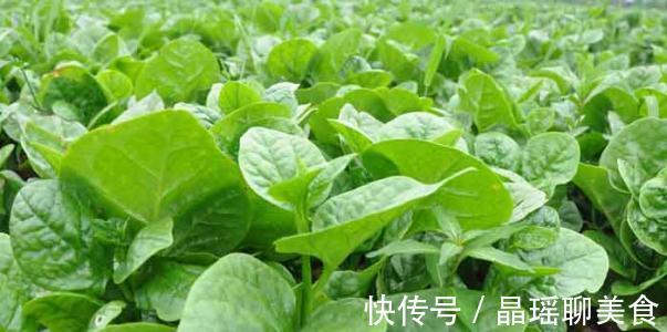 蚕菜蚕菜|女人养肝就是保命，3种野菜，养肝护肝，清肝润肺，肝好人显年轻