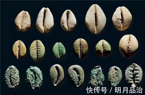 牛羊|古代早期用贝壳做货币,为什么穷人不捡贝壳致富?