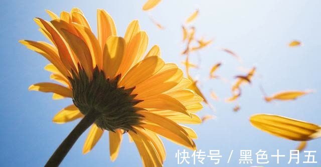 巨蟹座|9月余情未了，桃花依旧的4星座，与旧爱两情相悦，真爱携手相伴