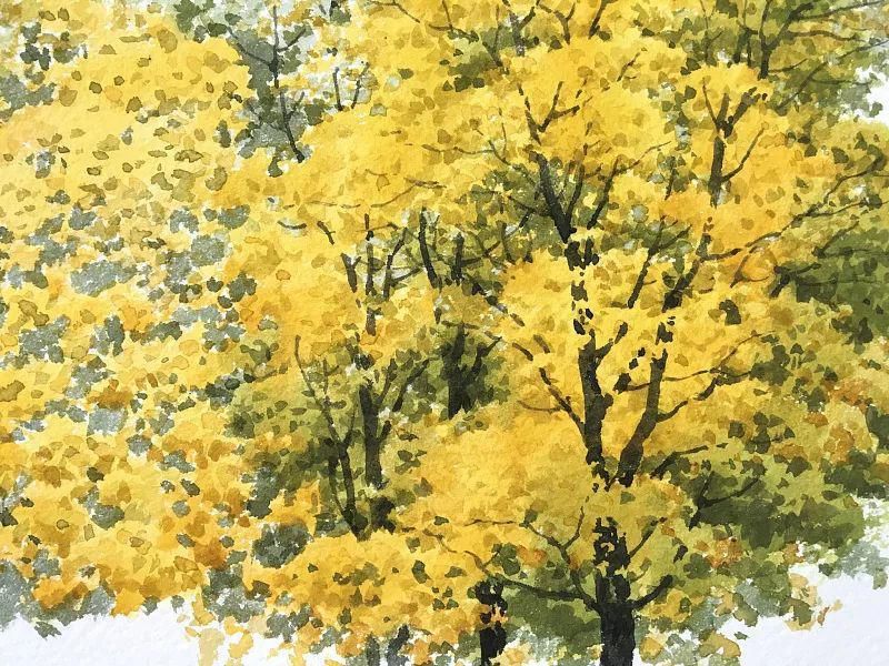  树叶|点、点、点，水彩画树就是这么简单！