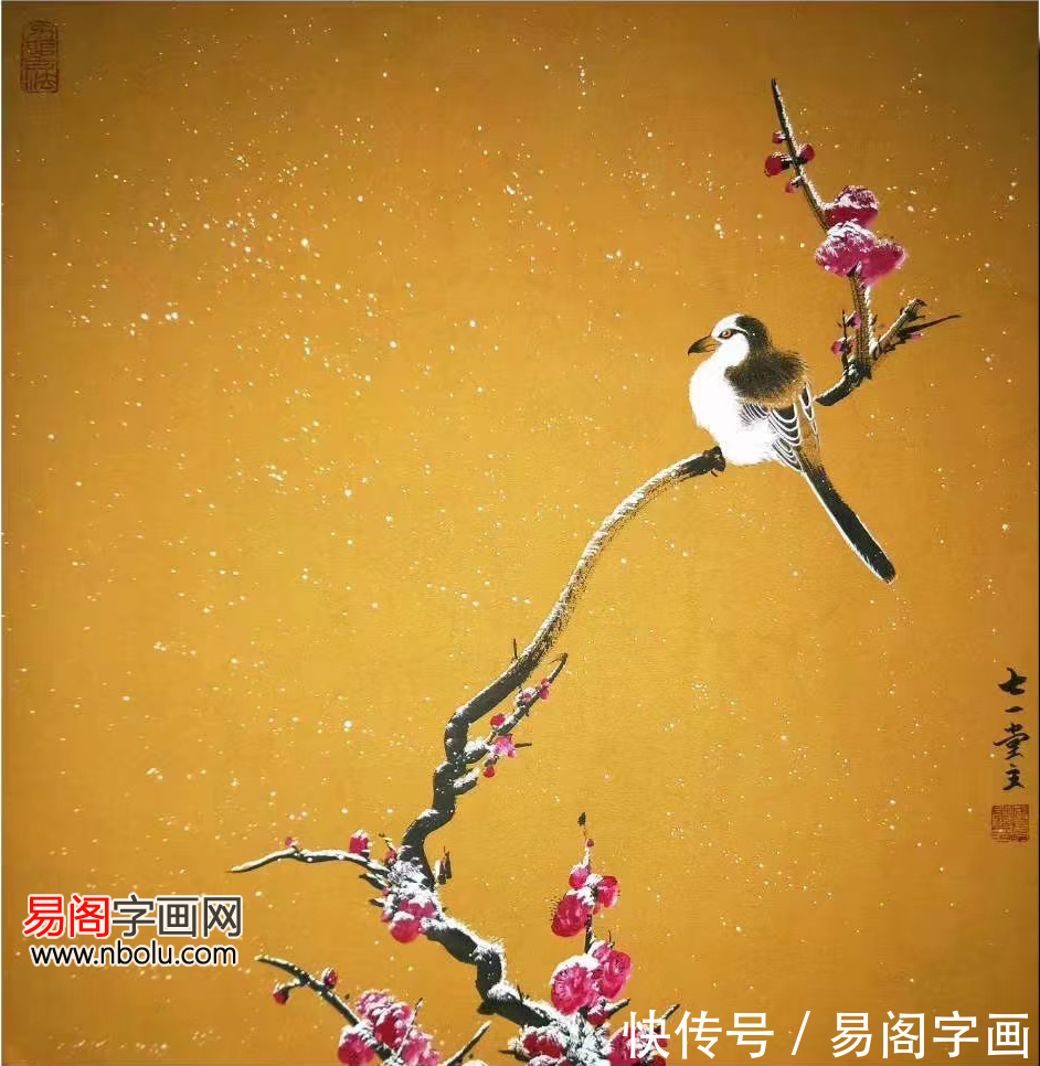 花鸟画!付厚党花鸟画 融逸趣于自然 带您走进清凉的世界