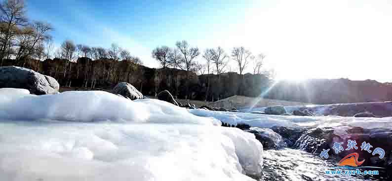 时节|肃南：大雪时节现雾凇冰花美景