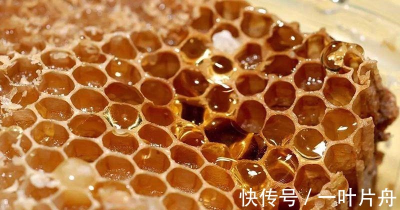 奥斯卡奖|这些冷知识真有用! 人不睡觉能熬多长时间！