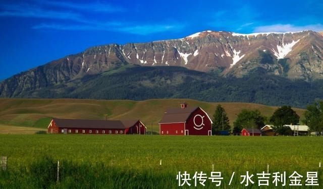 桃花|桃花闪耀,挚爱相迎,满目柔情,心心念念,再续甜蜜恋情