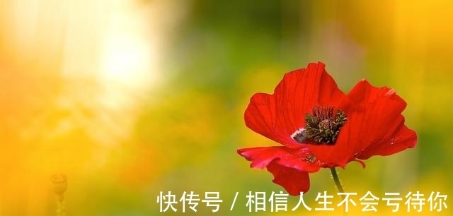 爱情|6天后，不吵不闹，不悲不喜，放下过去，重新出发，迎接黎明