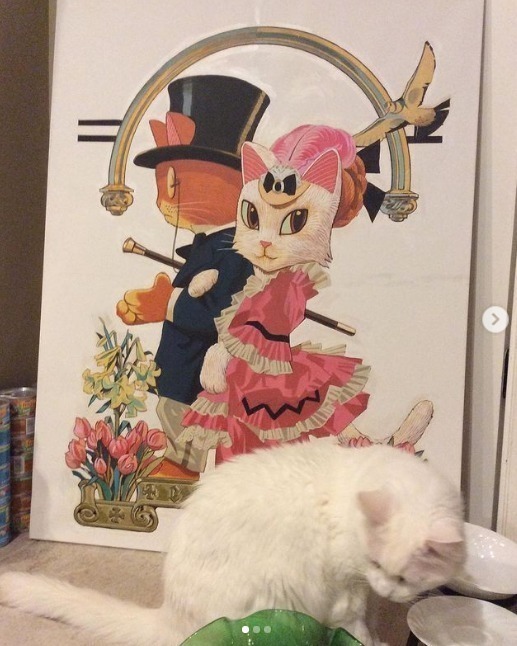 猫咪#艺术家笔下的猫咪“入侵”世界名画,萌到让人尖叫!