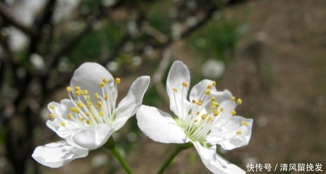 得罪|简简单单两句话,让你少得罪多少人!(深度好文)