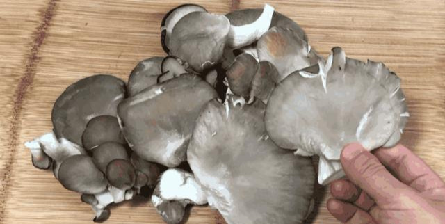 炸蘑菇,需不需要焯水?很多人错了,这样简单一做,比肉还香