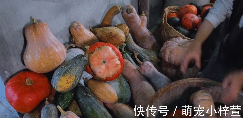 毛豆|李子柒晒秋收家宴，吸引三千万人观看，满满一桌子的美味，太馋人