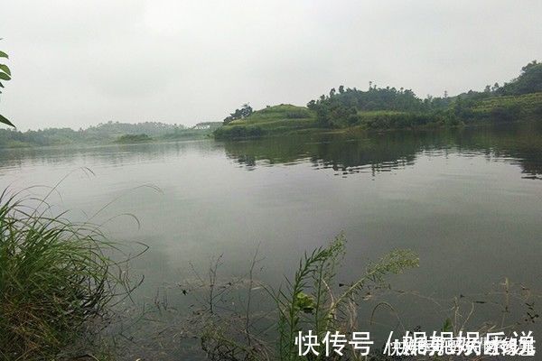 钓鱼|下杆须谨慎，不单用于黑坑提醒，水库同适用