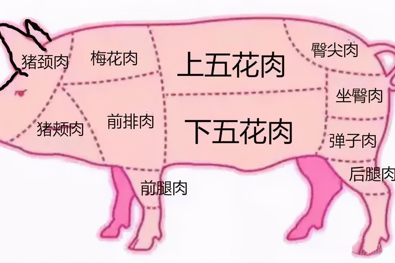 包子馅|买五花肉,分清“上五花”和“下五花”,差别巨大,买错难下咽