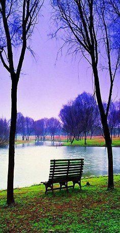  晓风|年光与物随流水，世事如花落晓风