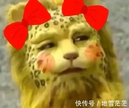 最近的朋友圈,跑进来一只豹子