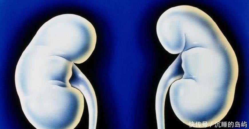 蔸人参|男人肾不好的,用枸杞加一物泡酒,肾重返20岁