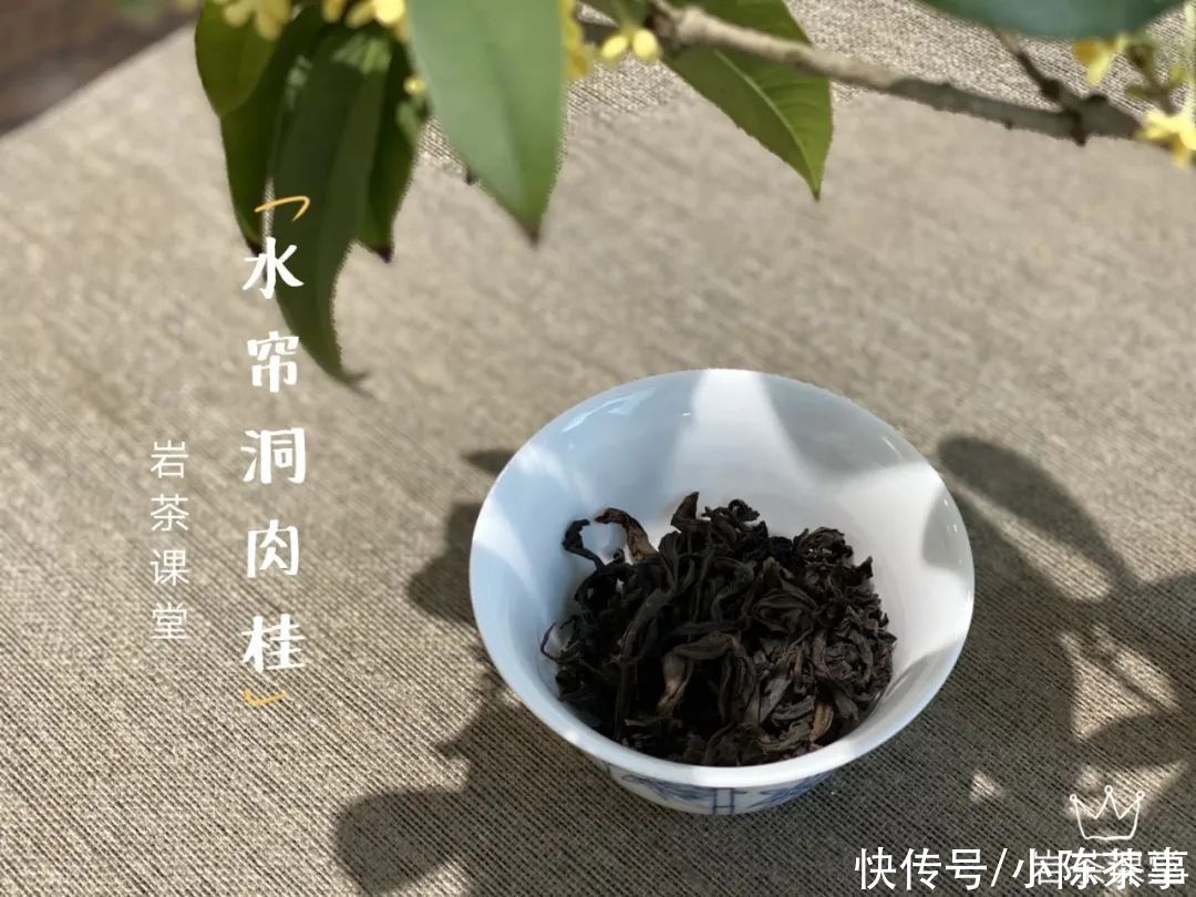  普洱茶|都说白茶、普洱茶越存越香，那放了3年的岩茶肉桂，还能喝吗？