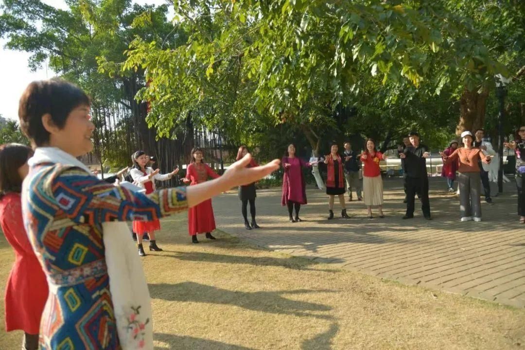 老年|多图+视频来袭！这场精彩快闪在江门多地上演，你遇到了吗？