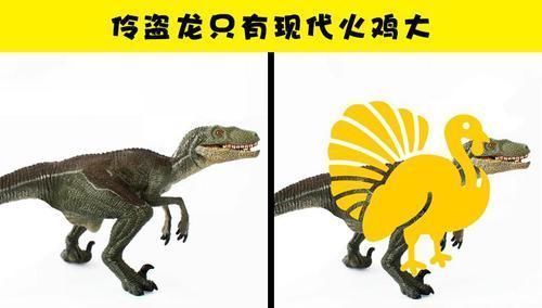 骨头|学校里可能没有教过你的10个很有趣的小知识