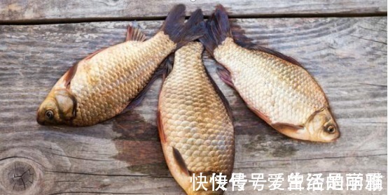 钓友们|端午后别用蚯蚓了,70岁老渔翁教你3招,新手10分钟钓上10斤大鱼!