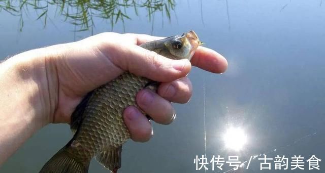 冬钓时,这三个位置不宜考虑,莫不信,老司机们都晓得,不学亏了