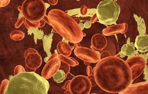 颈部|如果颈动脉堵塞,身体会发出3个信号,几个部位反应最明显